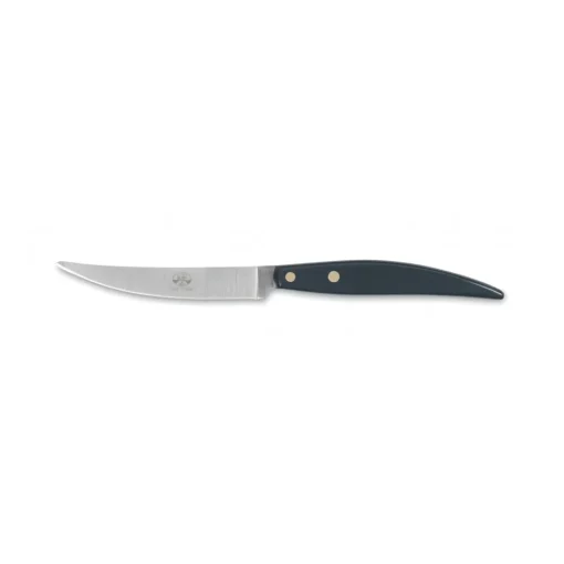 Coltellerie Berti - 1895 - Polychrome 6 Table Knives - N. 8065 - Exclusive Artisan Knives - Handmade in Italy - Avvenice^ Kitchen & Dining