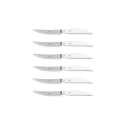 Coltellerie Berti - 1895 - Polychrome 6 Table Knives - N. 8061 - Exclusive Artisan Knives - Handmade in Italy - Avvenice^ Kitchen & Dining