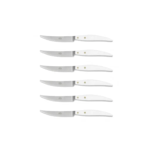 Coltellerie Berti - 1895 - Polychrome 6 Table Knives - N. 8061 - Exclusive Artisan Knives - Handmade in Italy - Avvenice^ Kitchen & Dining