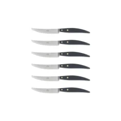 Coltellerie Berti - 1895 - Polychrome 6 Table Knives - N. 8065 - Exclusive Artisan Knives - Handmade in Italy - Avvenice^ Kitchen & Dining