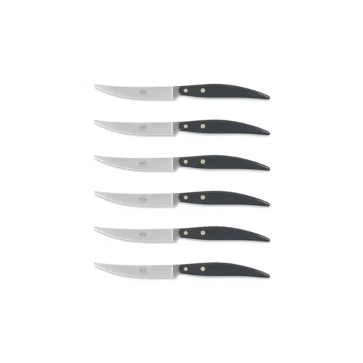 Coltellerie Berti - 1895 - Polychrome 6 Table Knives - N. 8065 - Exclusive Artisan Knives - Handmade in Italy - Avvenice^ Kitchen & Dining