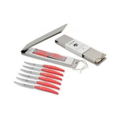 Coltellerie Berti - 1895 - Polychrome 6 Table Knives - N. 8054 - Exclusive Artisan Knives - Handmade in Italy - Avvenice^ Kitchen & Dining