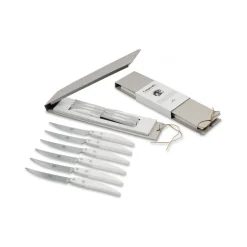 Coltellerie Berti - 1895 - Polychrome 6 Table Knives - N. 8061 - Exclusive Artisan Knives - Handmade in Italy - Avvenice^ Kitchen & Dining