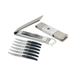 Coltellerie Berti - 1895 - Polychrome 6 Table Knives - N. 8065 - Exclusive Artisan Knives - Handmade in Italy - Avvenice^ Kitchen & Dining