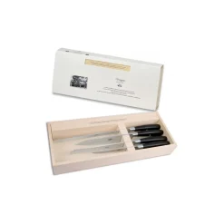 Coltellerie Berti - 1895 - Set of Four Kitchen Knives - N. 3030 - Exclusive Artisan Knives - Handmade in Italy - Avvenice