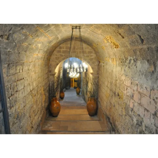 Conte Spagnoletti Zeuli - Tour Zeuli - Guided Tour of the XVIII Cellar, Olive Oil Plant, Vineyards and Olives - Daily - Avvenice