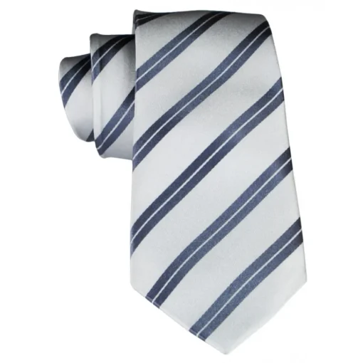 Coffret Cravates E.G. Cravates E.G. - Double Strip Tie - Mix of Gray and Ice Gray - Avvenice^ Ties & Bow Ties