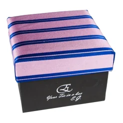 Coffret Cravates E.G. Cravates E.G. - Double Strip Tie - Mix of Persian Rose and Klein Blue - Avvenice