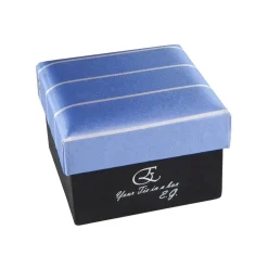 Coffret Cravates E.G. Cravates E.G. - Single Stripe Tie - Sky Blue - Avvenice