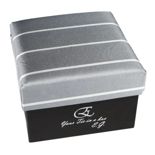 Coffret Cravates E.G. Cravates E.G. - Single Stripe Tie - Ice Gray - Avvenice