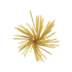 Dalla Costa Alimentare Dalla Costa - Spaghetti with Organic Kamut - Avvenice