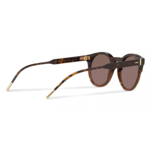 Dolce & Gabbana Eyewear Dolce & Gabbana - Panthos Sunglasses with Keyhole Bridge - Havana Transparent Brown - Dolce & Gabbana Eyewear - Avvenice