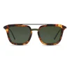 Dolce & Gabbana Eyewear Dolce & Gabbana - Square Sunglasses with Double Bridge - Havana Cammello - Dolce & Gabbana Eyewear - Avvenice^ Sunglasses & Eyewear