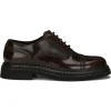 Dolce & Gabbana Dolce & Gabbana - Tofee Brogues - Dolce & Gabbana Exclusive Luxury Collection - Avvenice^ Shoes