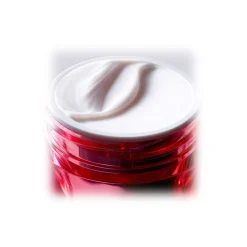 Est\u00e9e Lauder Estée Lauder - Nutritious Super-Pomegranate Radiant Energy Moisture Creme - Luxury - Avvenice
