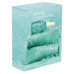 Everline - Hair Solution - Solar Kit - Solar - Professional Treatments - Avvenice^ Hair Care | Natural Cosmetics