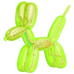 Fame Master - Balloon Dog - Green - 4D Master - Mighty Jaxx - Jason Freeny - Body Anatomy - XX Ray - Art Toys - Avvenice^ Games
