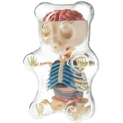 Fame Master - Gummi Bear - Classic - 4D Master - Mighty Jaxx - Jason Freeny - Body Anatomy - XX Ray - Art Toys - Avvenice