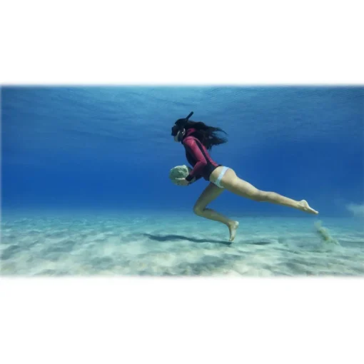GoPro - Blue Water Snorkel Filter - HERO6 Black / HERO5 Black / HERO 2018 - Accessories - Avvenice^ Photo & Video