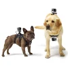 GoPro - Fetch - Dog Harness - Accessories - Avvenice^ Photo & Video