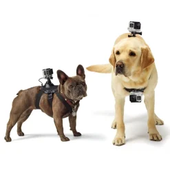 GoPro - Fetch - Dog Harness - Accessories - Avvenice^ Photo & Video