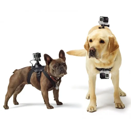 GoPro - Fetch - Dog Harness - Accessories - Avvenice^ Photo & Video