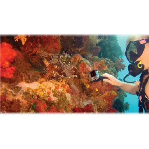 GoPro - Gooseneck - Adjustable Swan Neck Flexible Extension - Accessories - Avvenice^ Photo & Video