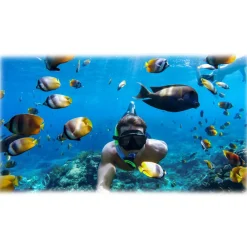 GoPro - HERO5 Black - Underwater Professional 4K Video Camera - Professional Video Camera - Avvenice^ Photo & Video