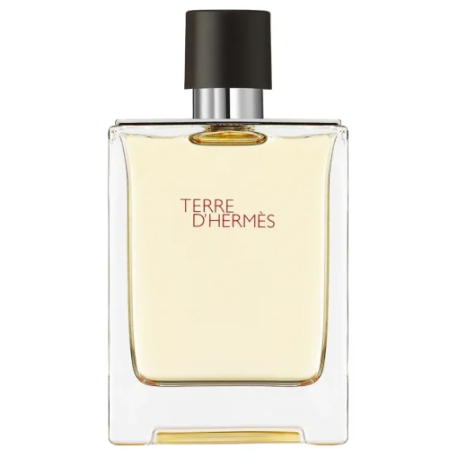Herm\u00e8s Beauty Hermès - Terre d'Hermes - Eau de Toilette - Luxury Fragrances - 100 ml - Avvenice