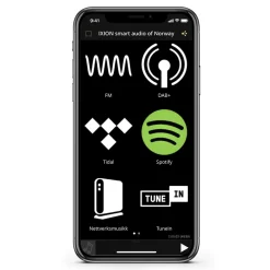 Ixion Audio - Maestro MKII - Grey - Multiroom Speaker - WLAN Multi-Room - Airplay, Stereo, Bluetooth, Wireless, WiFi - Avvenice^ Audio