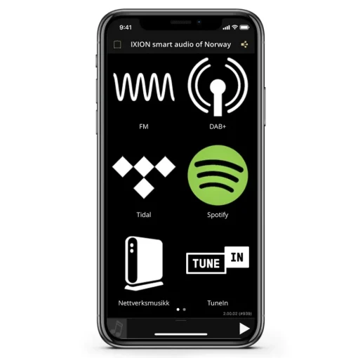 Ixion Audio - Maestro MKII - Grey - Multiroom Speaker - WLAN Multi-Room - Airplay, Stereo, Bluetooth, Wireless, WiFi - Avvenice^ Audio