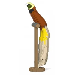 Jekca - Bird-of-Paradise 01S - Lego - Sculpture - Construction - 4D - Brick Animals - Toys - Avvenice