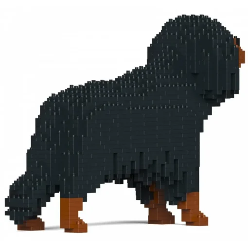 Jekca - Cavalier King Charles Spaniel 01-M04 - Big - Lego - Sculpture - Construction - 4D - Brick Animals - Toys - Avvenice^ Games