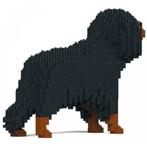Jekca - Cavalier King Charles Spaniel 01S-M04 - Lego - Sculpture - Construction - 4D - Brick Animals - Toys - Avvenice^ Games