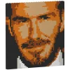 Jekca - David Beckham Brick Painting 04S - Lego - Sculpture - Construction - 4D - Brick Animals - Toys - Avvenice^ Games