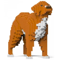 Jekca - Nova Scotia Duck Tolling Retriever 01S - Lego - Sculpture - Construction - 4D - Brick Animals - Toys - Avvenice^ Games