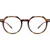 Linda Farrow - Griffin A Oval Optical Glasses in Tortoiseshell - LF50AC2OPT - Eyewear - Avvenice^ Sunglasses