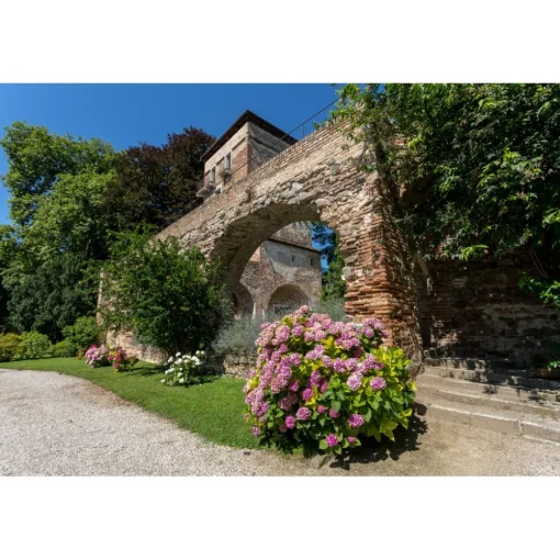 Massimago Wine Tower - Wine Tasting Experience - 5 Days 4 Nights - Avvenice^ Nature & Relax