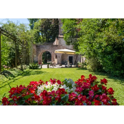 Massimago Wine Tower - Wine Tasting Experience - 5 Days 4 Nights - Avvenice^ Nature & Relax