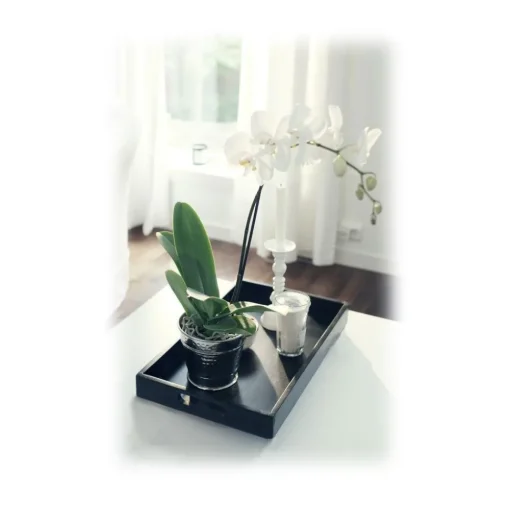Mikol Marmi - Black Wooden Trays - Small - Real Marble - Living - Collection - Avvenice^ Home Accessories