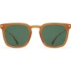 Mykita - Borga - Lite - Dark Brown Gold Green - Acetate Collection - Sunglasses - Eyewear - Avvenice^ Sunglasses & Eyewear