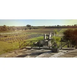 Naturalis Bio Resort & Spa Naturalis Bio Resort & Spa - Special Relax - 4 Days 3 Nights - Avvenice