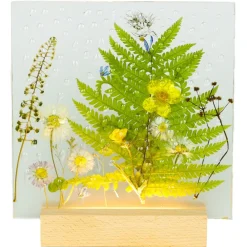 Natusi - Resin Art - Raindrops - Artisan Lamp with Natural Flowers - Handmade - Furnishings - Home - Avvenice^ Lighting & Lamps | Home Accessories