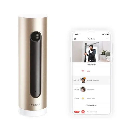 Netatmo - Indoor - Outdoor Pack - Security Camera - Avvenice^ Smart Home