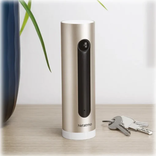 Netatmo - Smart Indoor Camera and Smart Smoke Detector - Intelligent Camera - Avvenice
