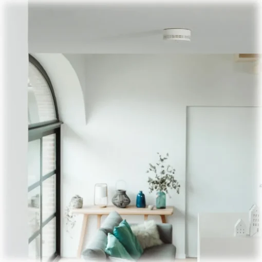 Netatmo - Smart Smoke Detector - Smoke Alarm - Avvenice^ Smart Home