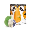 Olio le Donne del Notaio - Box 6 - Extra Virgin Olive Oil - Artisan - Italian High Quality Oil - Abruzzo - 2 l + 250 ml - Avvenice^ Oil & Vinegar