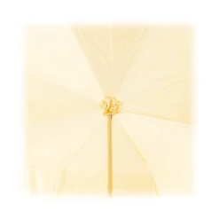 Pasotti Ombrelli 1956 - 177 Plat-300 P5 - Woman Ivory Umbrella Decorated - Luxury Artisan High Quality Umbrella - Avvenice