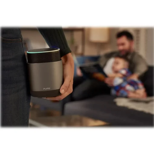 Pure - DiscovR - Graphite - Portable Smart Speaker - Alexa Built-In, Enhanced Music Discovery - High Quality Digital Radio - Avvenice^ Audio