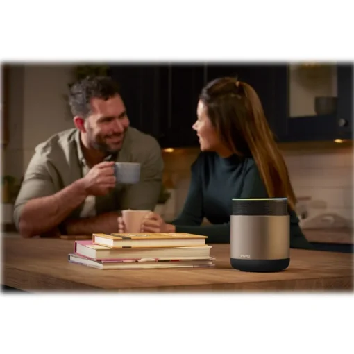 Pure - DiscovR - Graphite - Portable Smart Speaker - Alexa Built-In, Enhanced Music Discovery - High Quality Digital Radio - Avvenice^ Audio